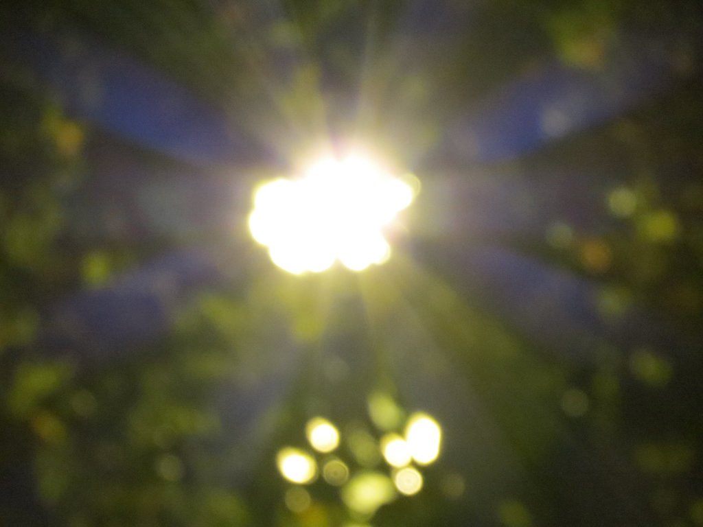 They SAW God