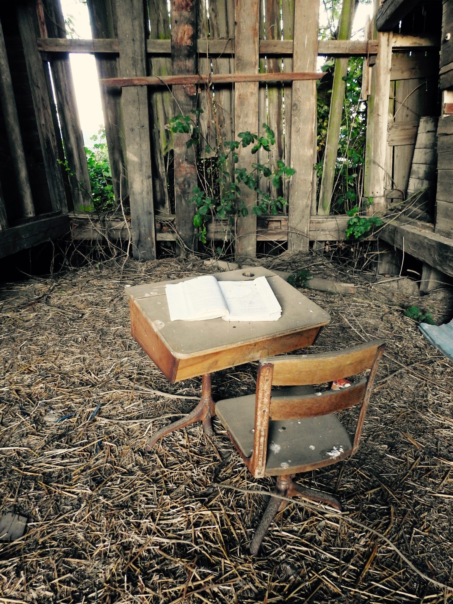 Are you too old for the Classroom of Life?