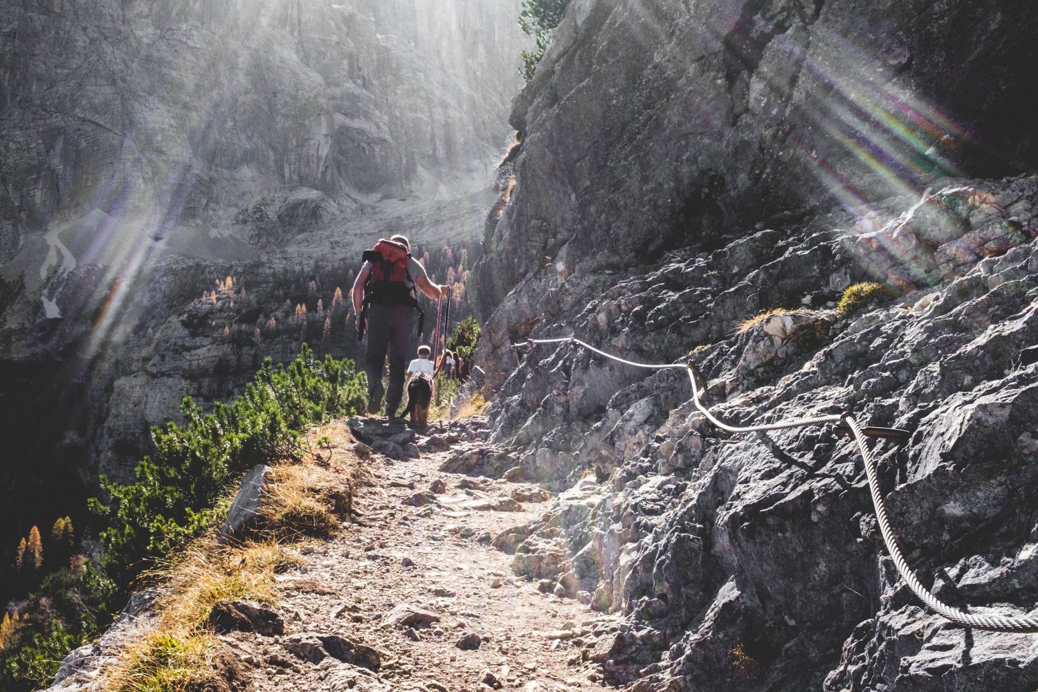 Dangers of hiking on a path less travelled
