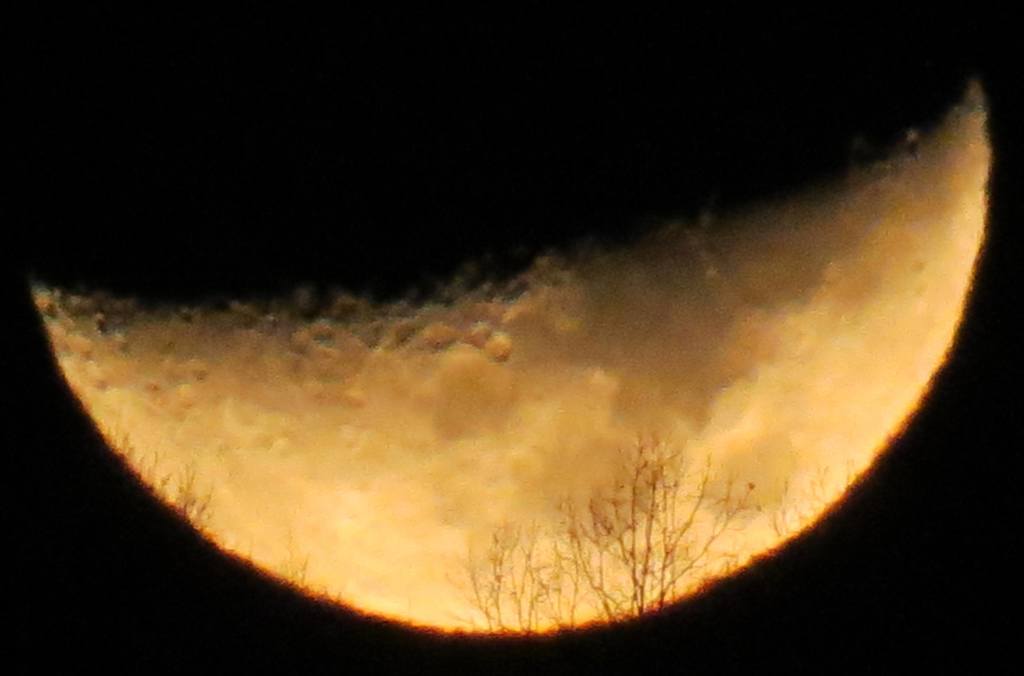 Drawn to the moon