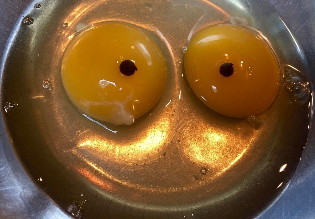 Breakfast humor with an egg