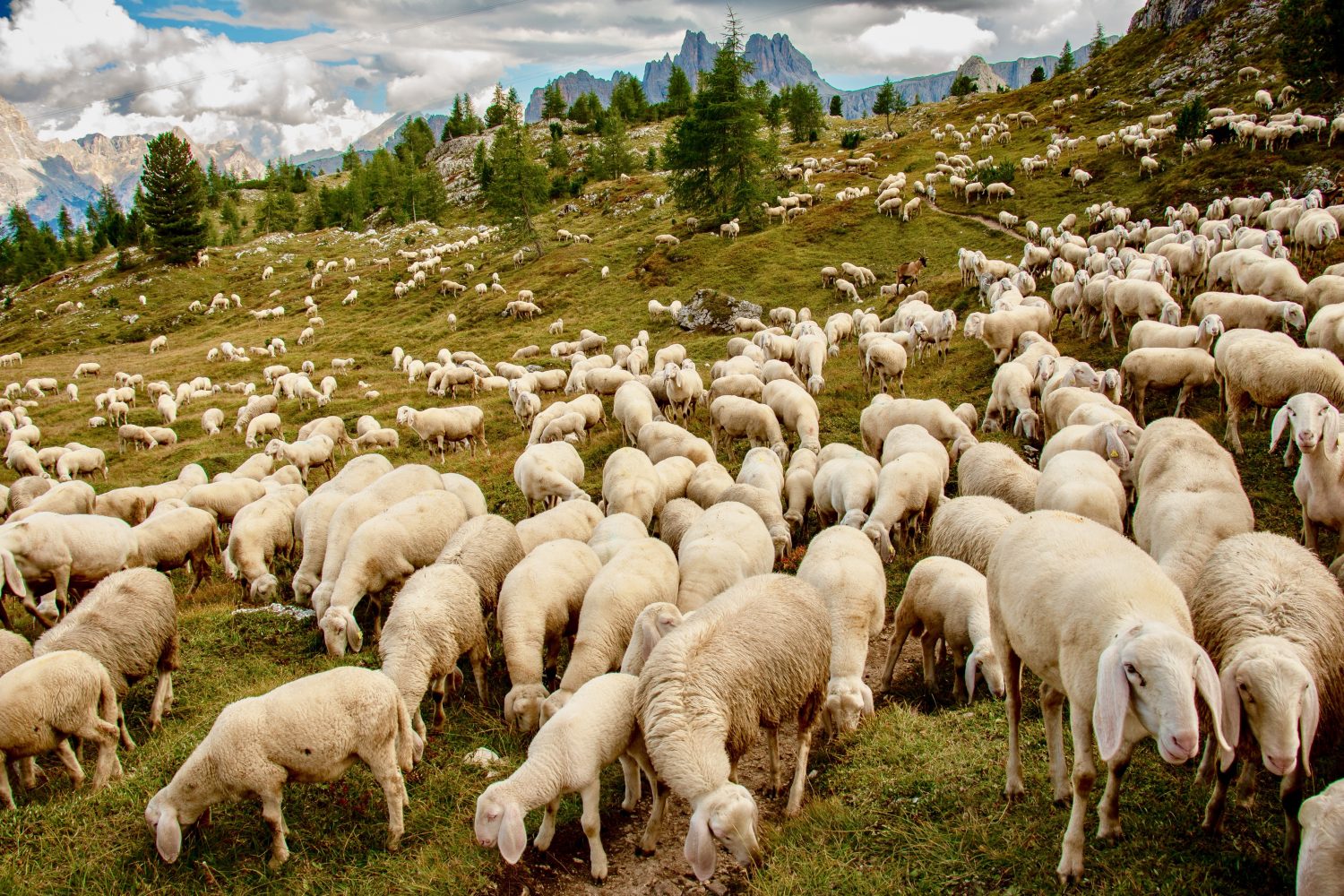 Jesus taught where He travelled, and a great crowd followed