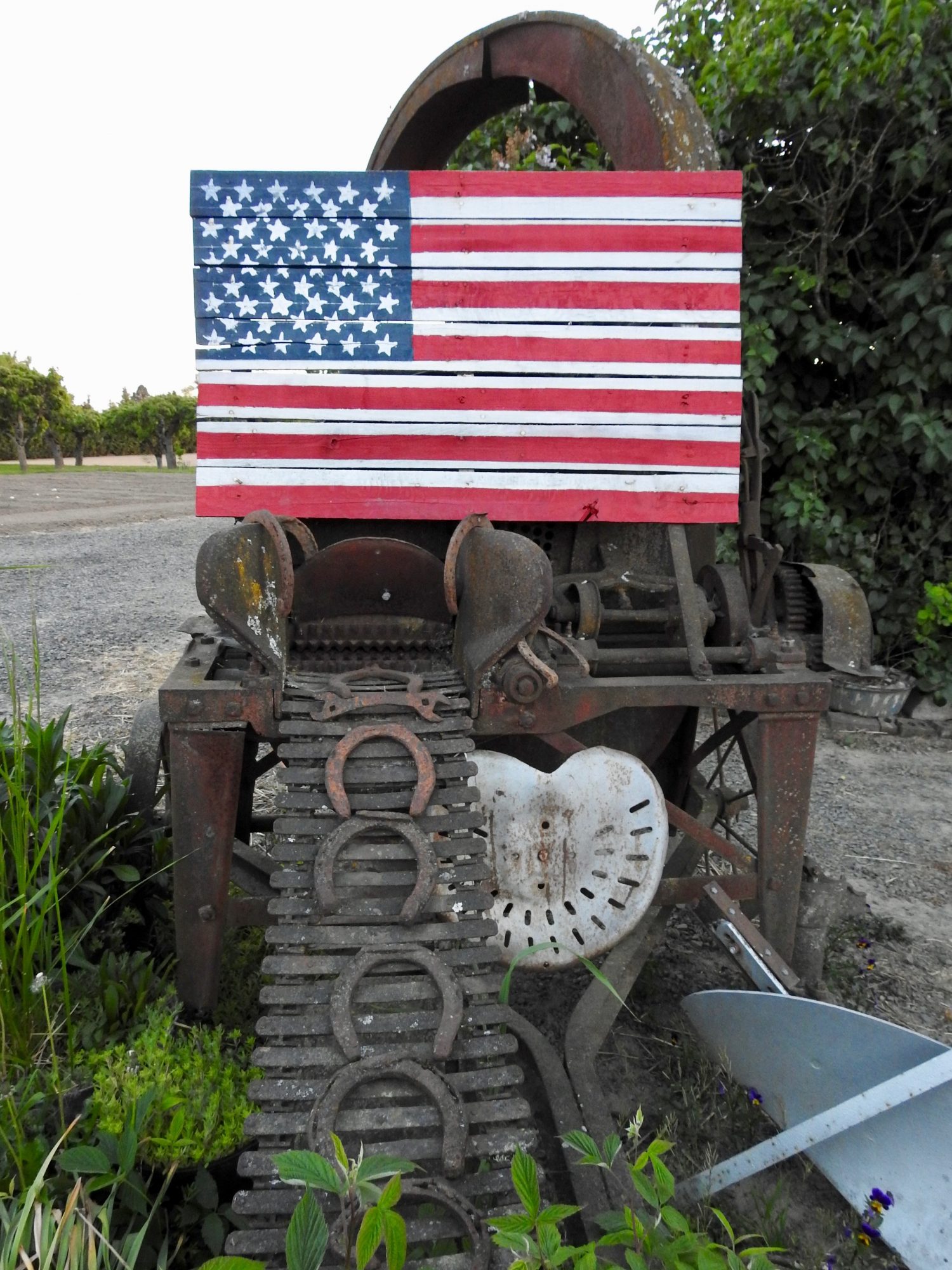 Let’s celebrate our many freedoms!