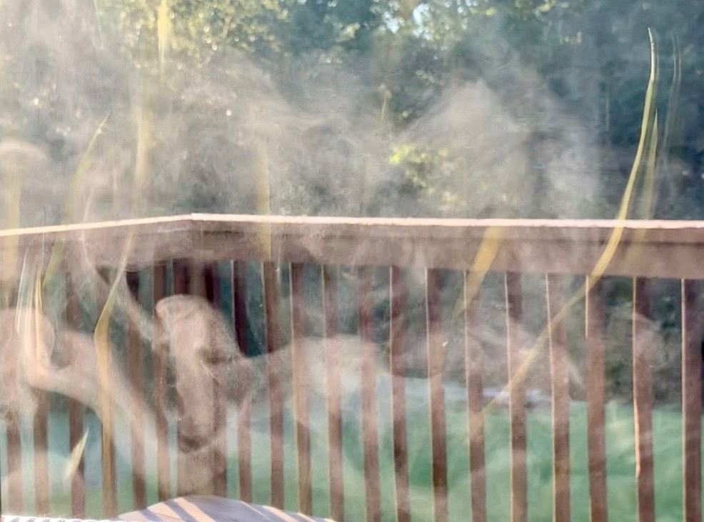 The testimony of morning vapors