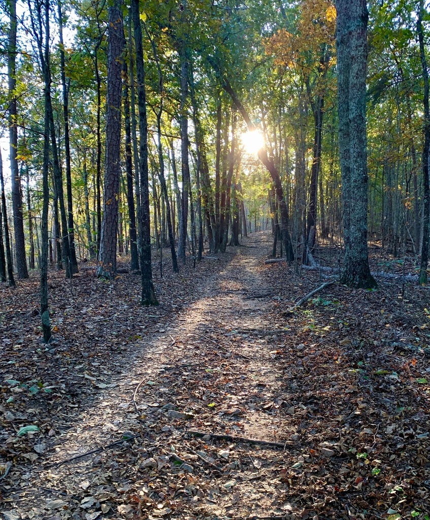 Is this the right path?