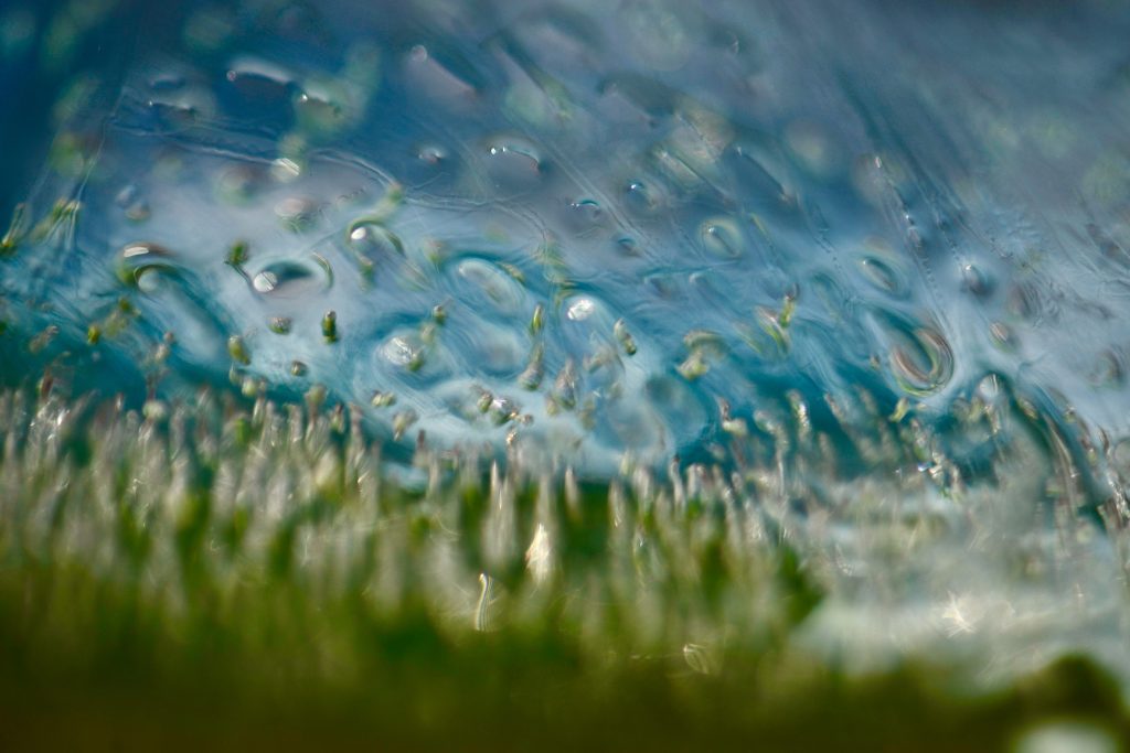 The ‘how’ of creation is God’s alone to fully understand