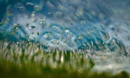 The ‘how’ of creation is God’s alone to fully understand
