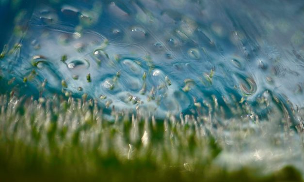 The ‘how’ of creation is God’s alone to fully understand